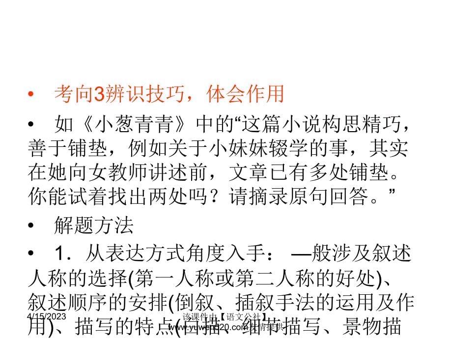 【新课标】中考语文冲刺练课件：专题19-品味小说语言，体会表达技巧（22页）_第5页