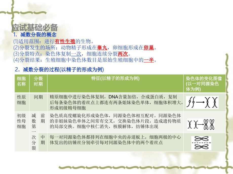 2016届高考生物专题复习课件（6）遗传的细胞学基础（共22张PPT）_第3页