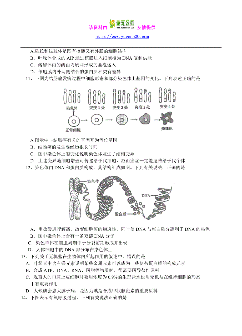 河南省南阳市2016届高三上学期期中质量评估生物试题（含答案）_第3页