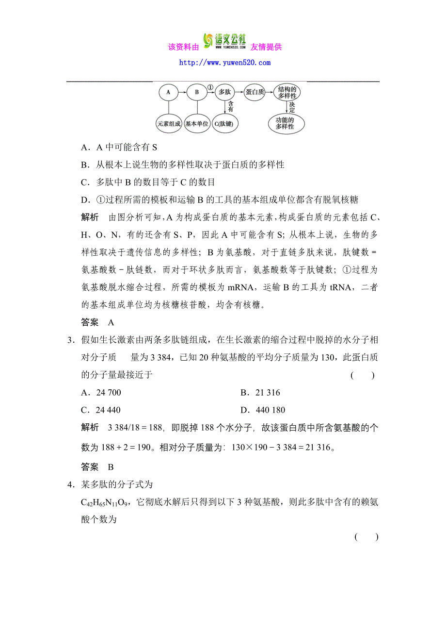 必修1第1单元第3讲 生命活动的主要承担者——蛋白质 遗传信息的携带者——核酸_第2页