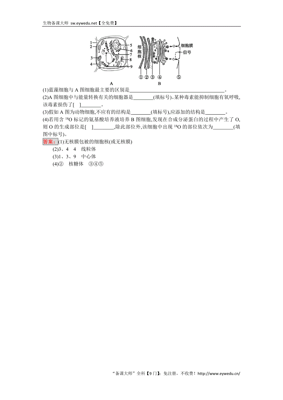 2016-2017学年高中生物必修一（人教版）练习：3.2细胞器——系统内的分工合作 Word版含答案_第4页