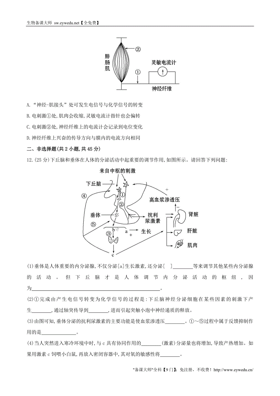 2015高中生物 专训一 神经调节与体液调节（无答案） 新人教版必修3_第4页