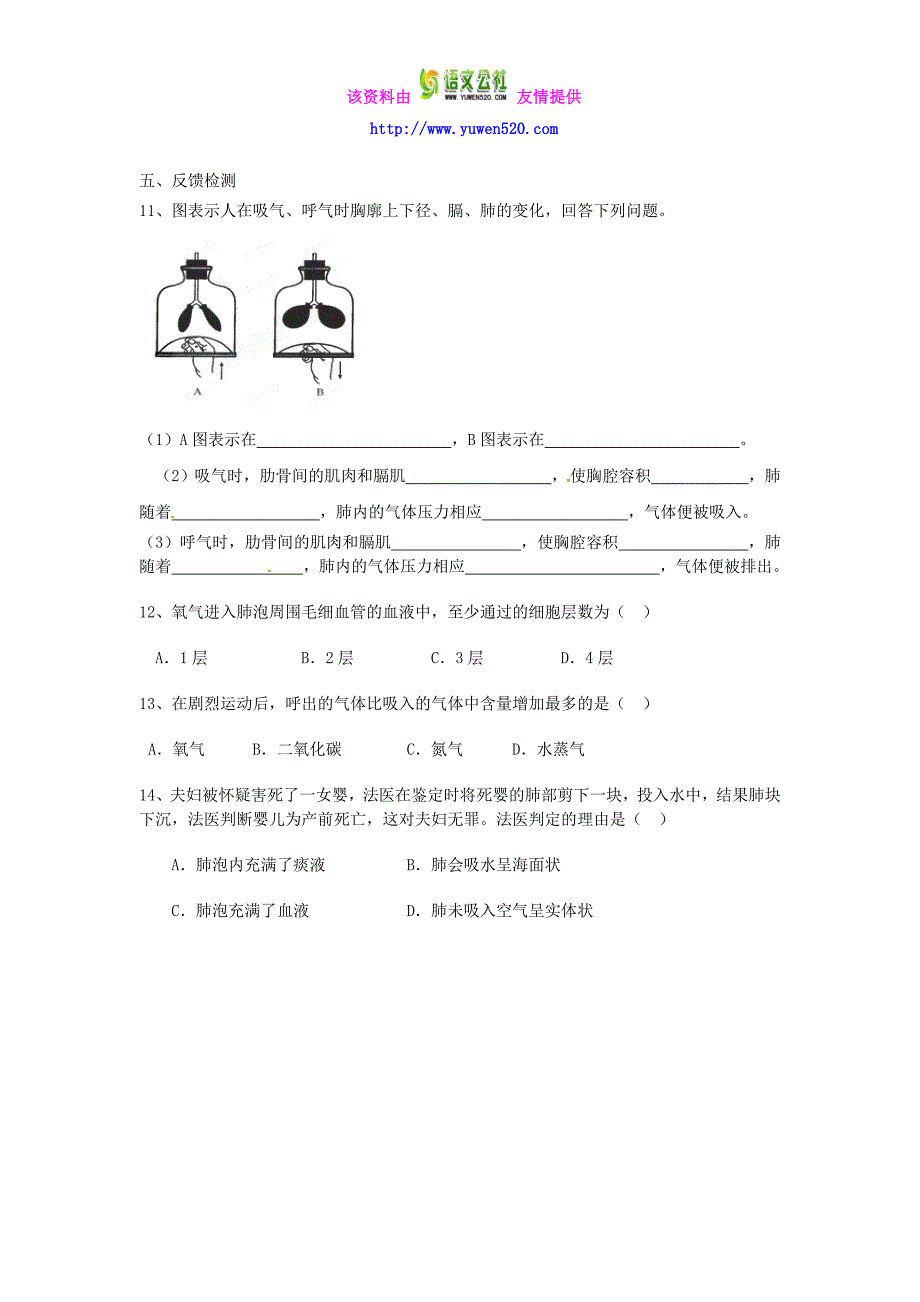 【新人教版】七年级生物下册：3.2《发生在肺内的气体交换》学案_第2页