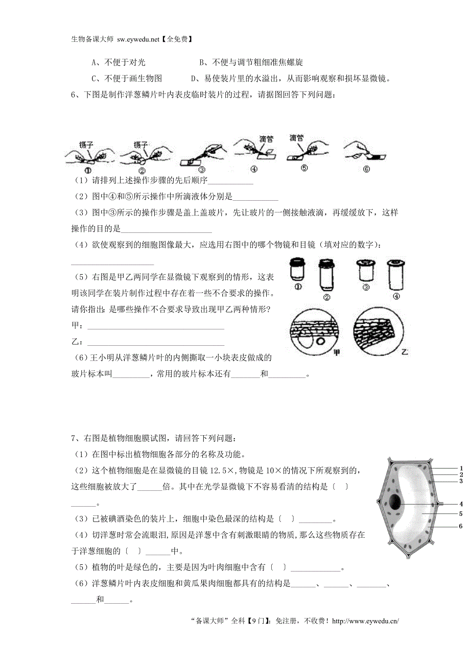 山东省泰安市岱岳区2015-2016学年七年级生物上册 2.1.2 植物细胞学案（无答案）（新版）新人教版_第3页