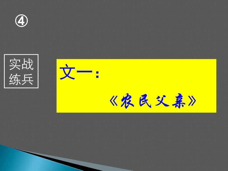 中考语文总复习：《课外阅读》ppt课件_第5页