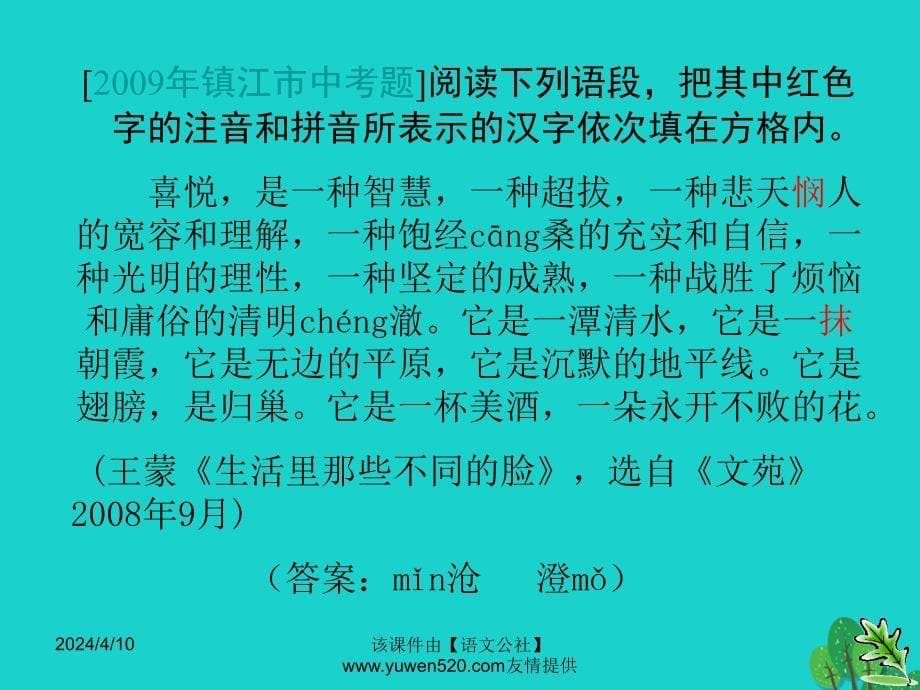 中考语文复习 语音与汉字 字形指导课件_第5页