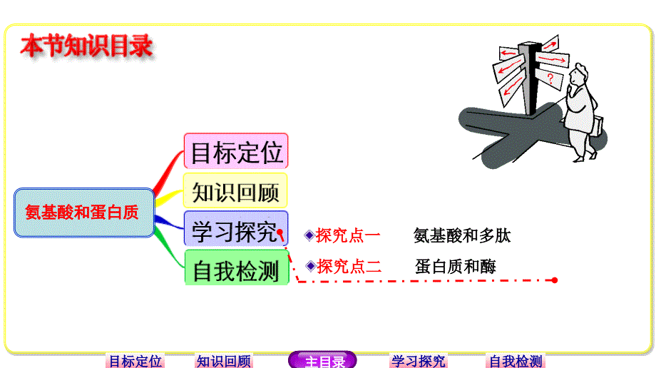 （鲁科版）化学选修物：2.4.3《氨基酸和蛋白质》ppt课件_第2页