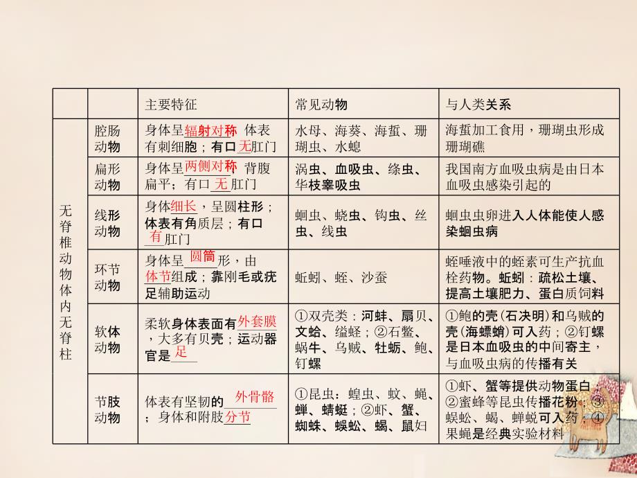 【聚焦中考】2016中考生物 第5单元 生物圈中的其他生物（第17讲 动物的主要类群）习题课件_第3页