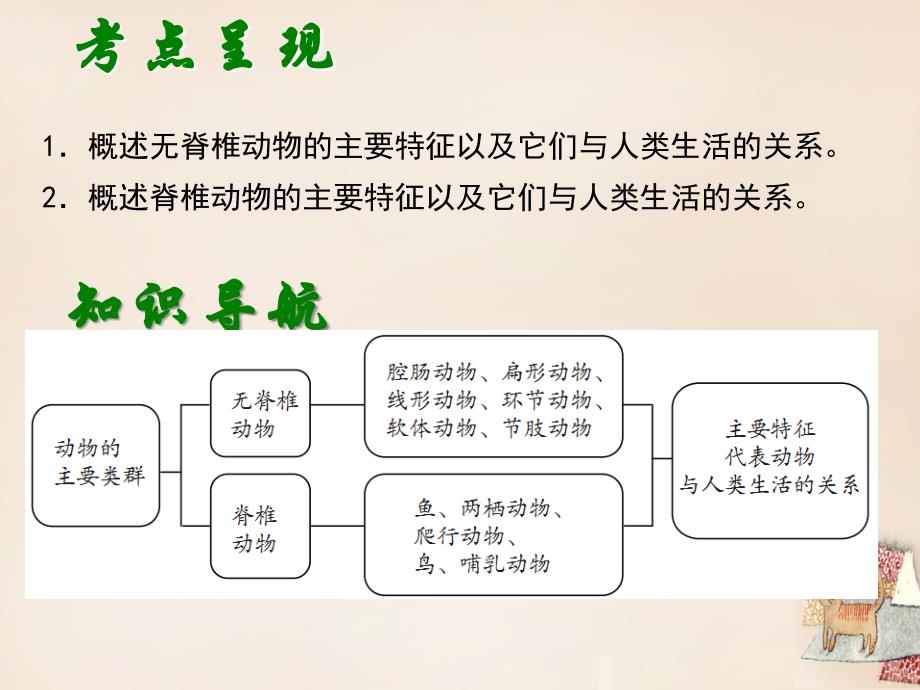 【深圳版】中考生物会考ppt课件：第9单元-动物的主要类群_第2页