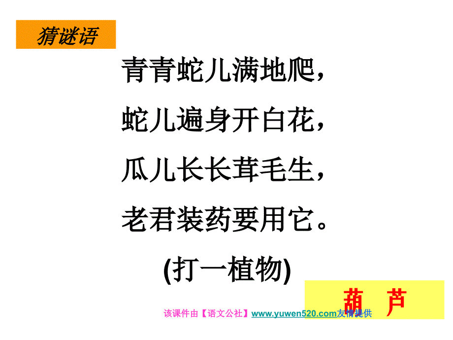 【西师大版】二年级语文上册：《我要的是葫芦》ppt课件_第2页