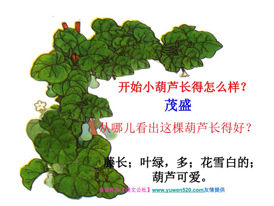 【西师大版】二年级语文上册：《我要的是葫芦》ppt课件_第4页