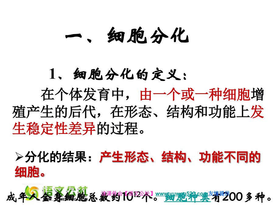 2015人教版高中生物必修一第六章第二节+细胞分化（25张PPT）_第2页