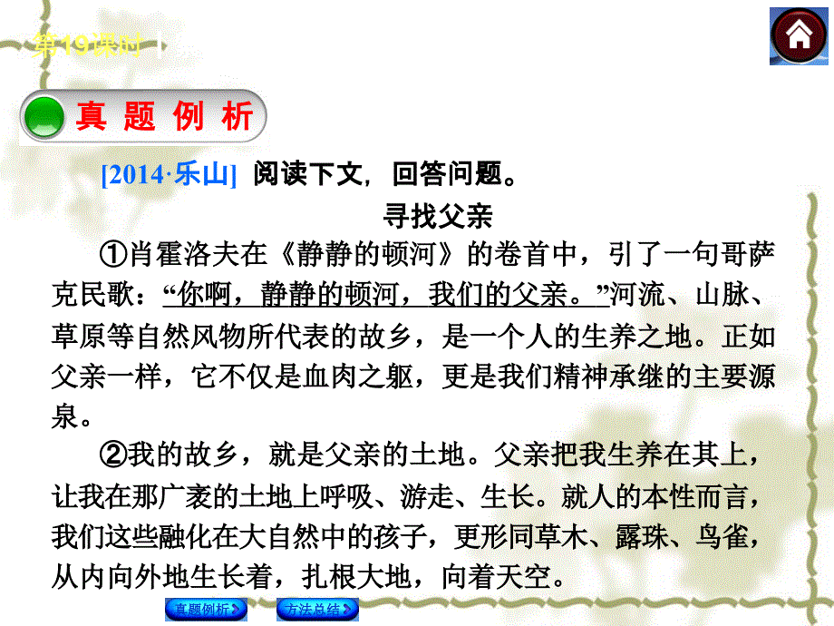 中考语文总复习（19）现代文阅读：紧扣文本，揣摩情感ppt课件_第2页