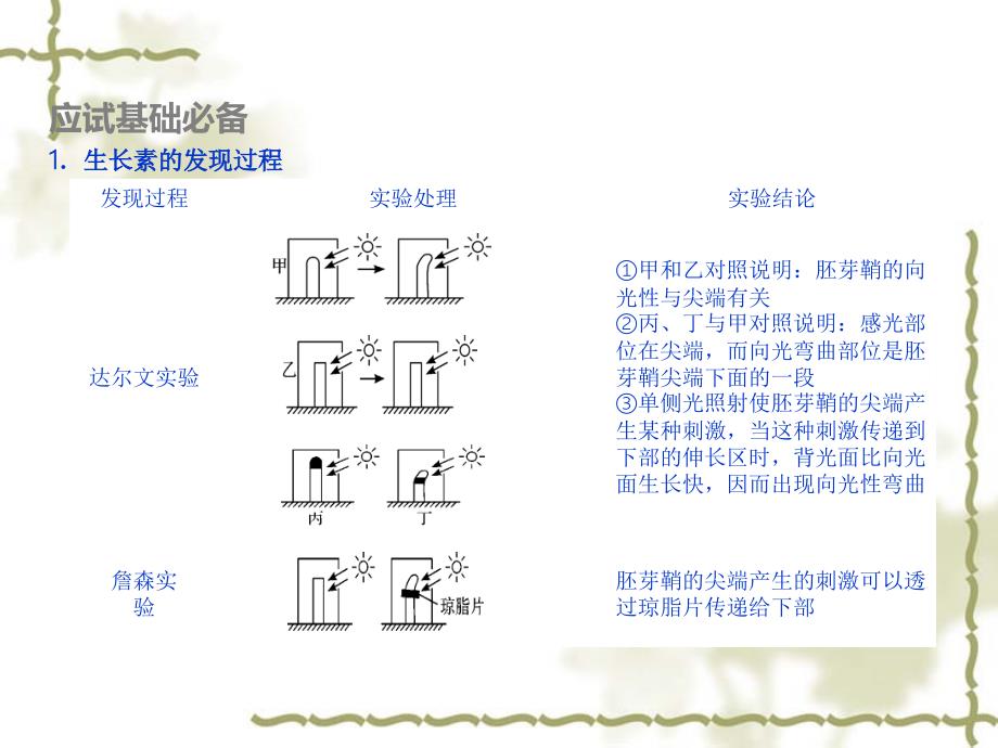 2016届高考生物专题复习课件（11）植物生命活动的调节（共28张PPT）_第3页