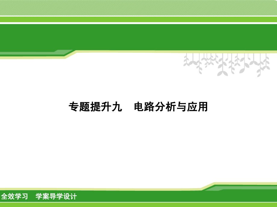 【华师大版】科学中考二轮复习专题提升（9）-电路分析与应用ppt课件_第1页