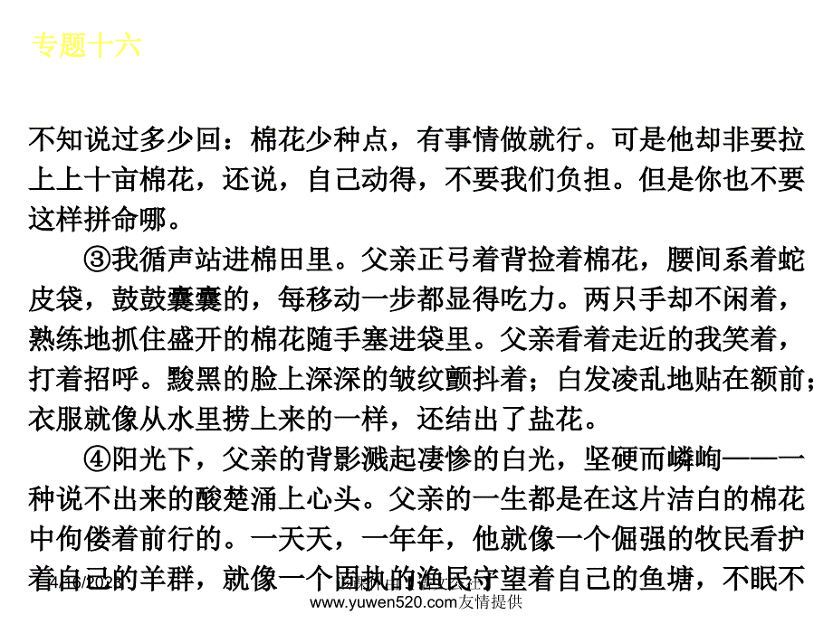 中考语文专题复习【16】品味词句，赏析语言ppt课件_第3页