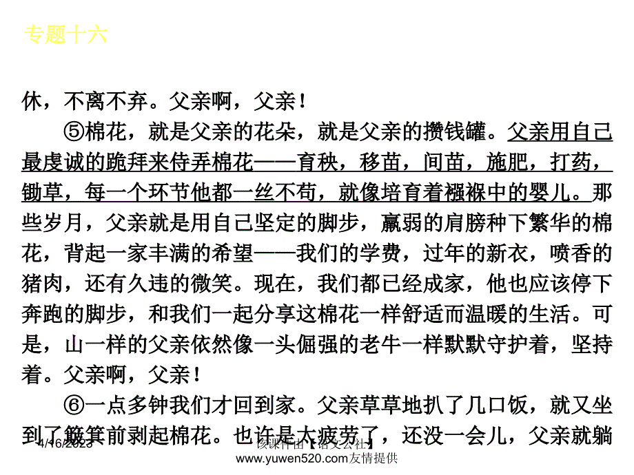 中考语文专题复习【16】品味词句，赏析语言ppt课件_第4页