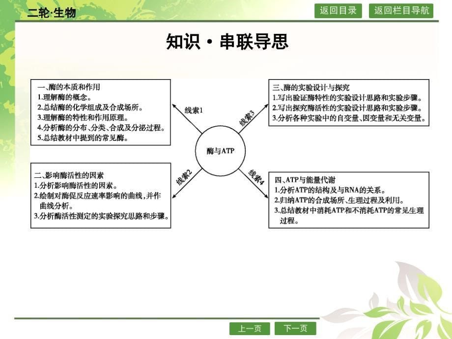 2016届高考生物二轮专题配套ppt课件：2.4酶与ATP_第5页