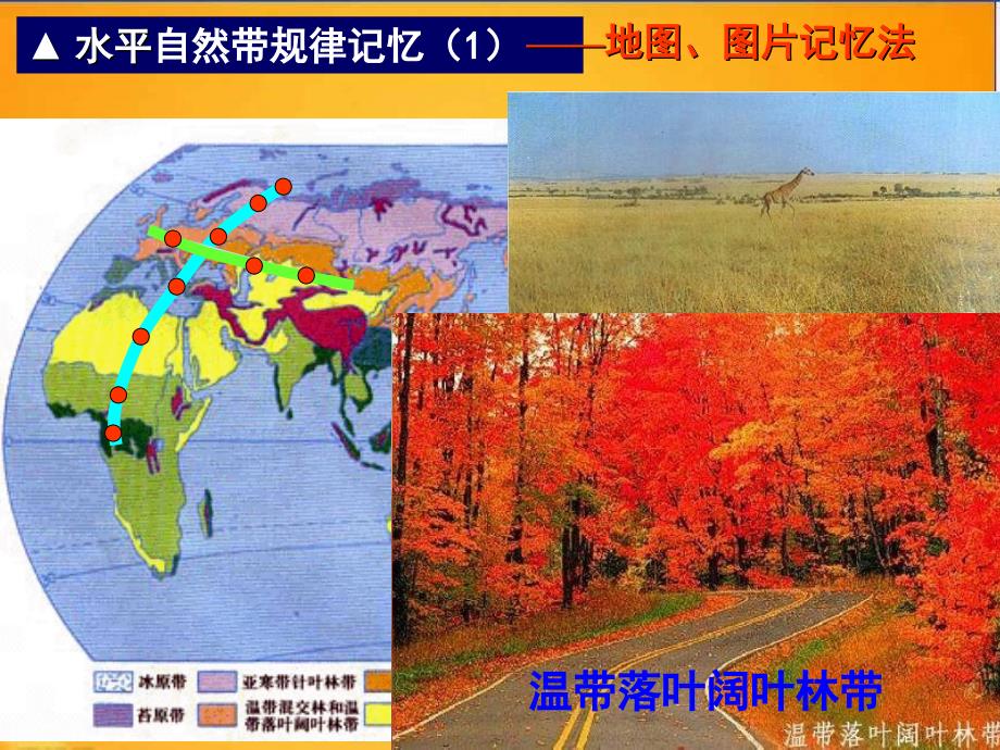 人教版地理必修1《自然地理环境的差异性》课件_第4页