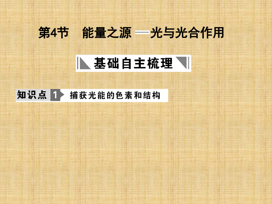 江苏省邳州市第二中学高中生物一轮总复习能量之源光与光合作用课件1新人教版_第1页