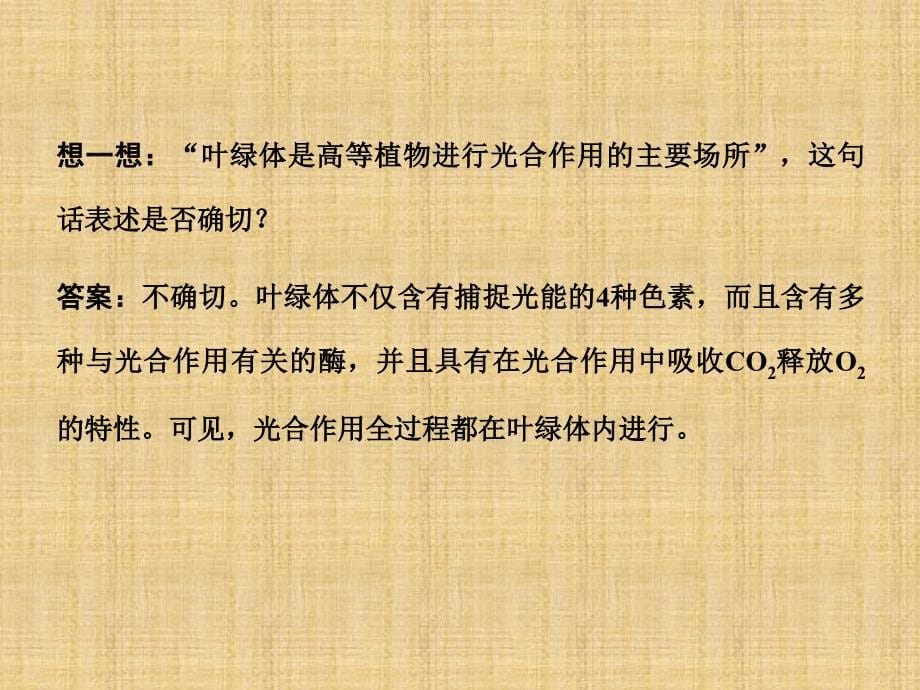 江苏省邳州市第二中学高中生物一轮总复习能量之源光与光合作用课件1新人教版_第5页