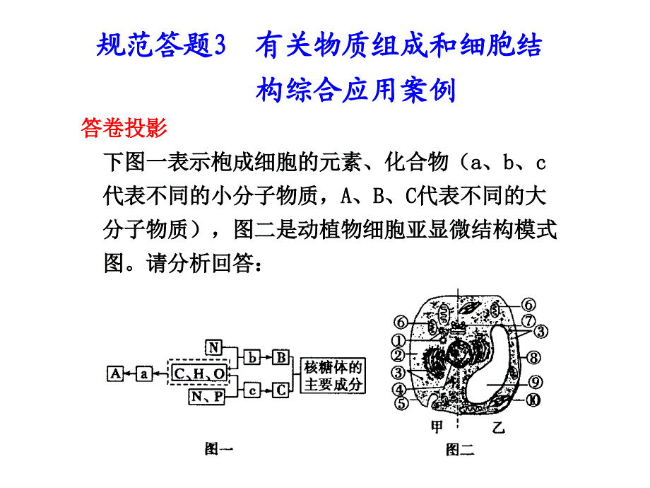 规范答题3有关物质组成和细胞结构综合应用案例_第1页