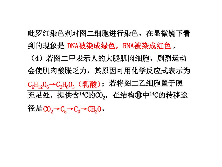 规范答题3有关物质组成和细胞结构综合应用案例_第3页