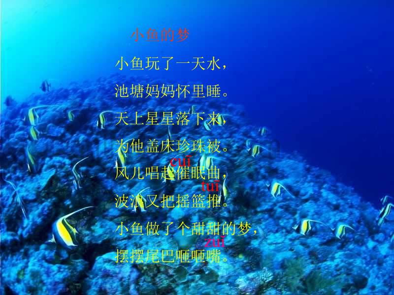 春北师大版语文一年级下册《小鱼的梦》课件_第3页