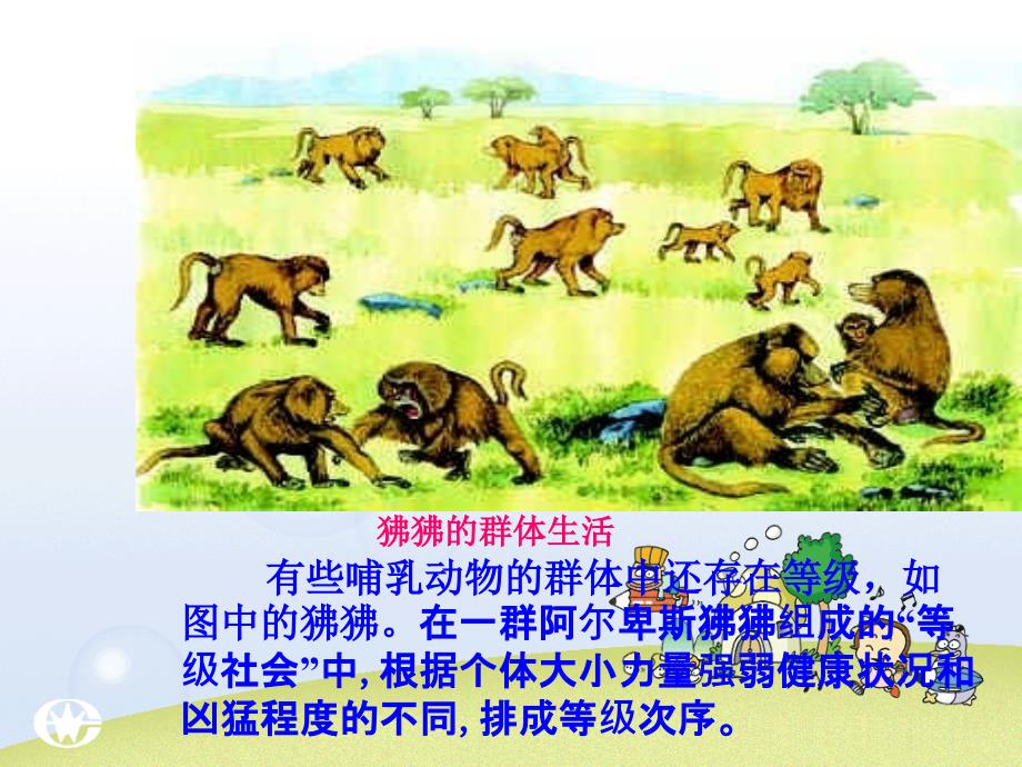 社会行为动物在自然界中的作用动物与人类生活关系_第4页