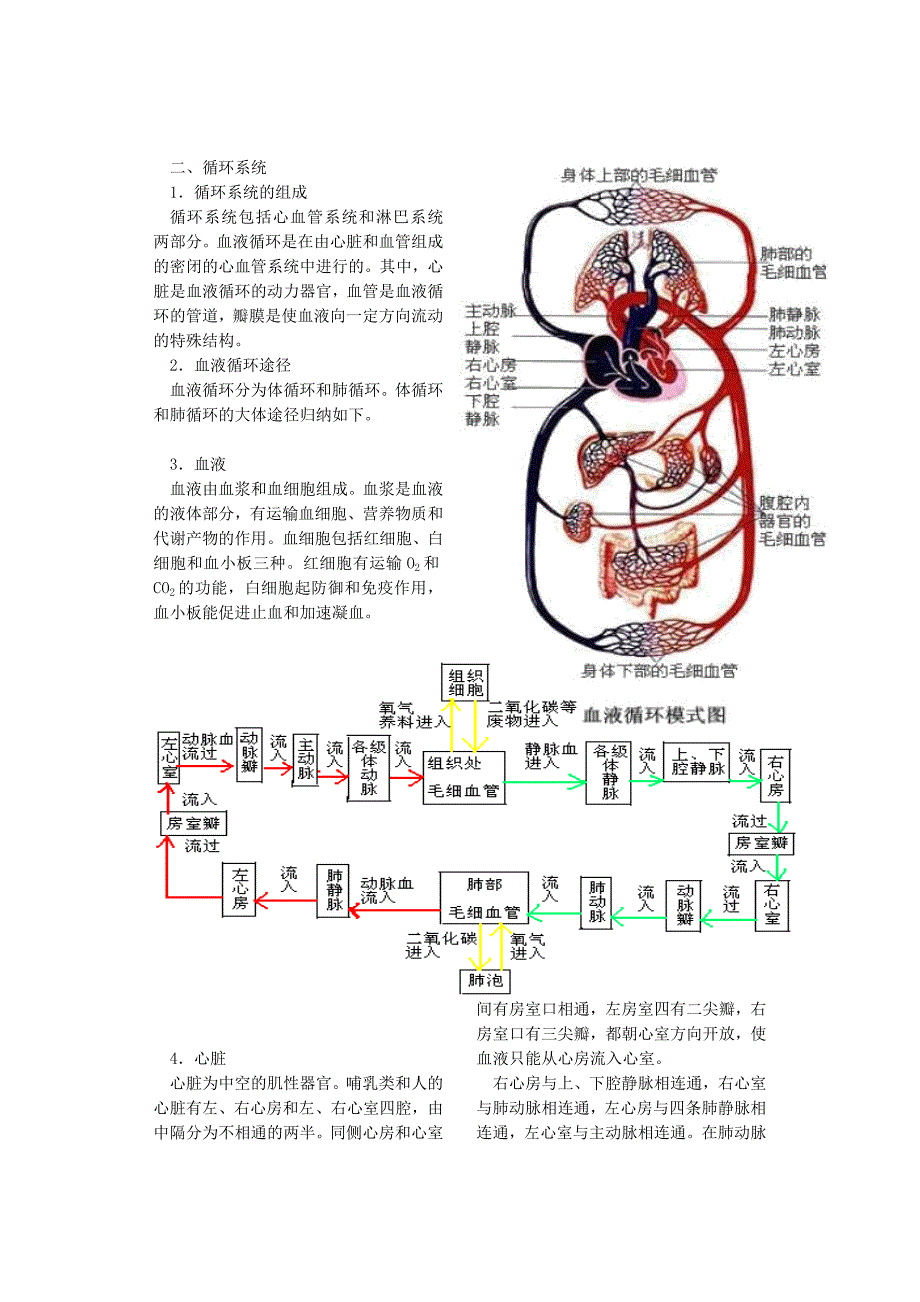 6高等动物和人体内的主要代谢系统_第2页