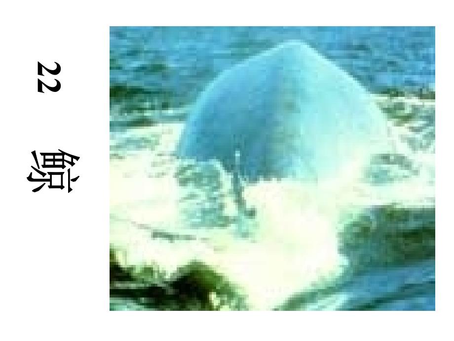 请用一句话把你看到的鲸向大家介绍一下_第1页