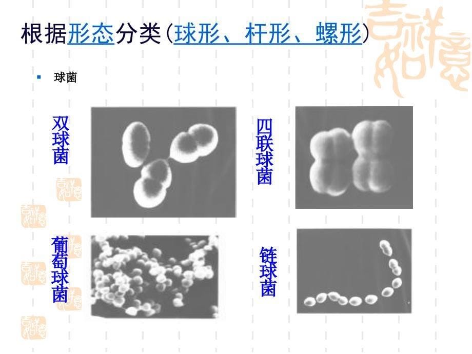 非处方药与家庭用药第四讲_第5页