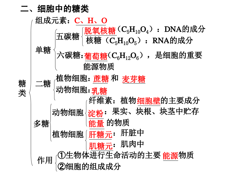 课时组成生物体的有机化合物糖类脂质和核酸_第3页