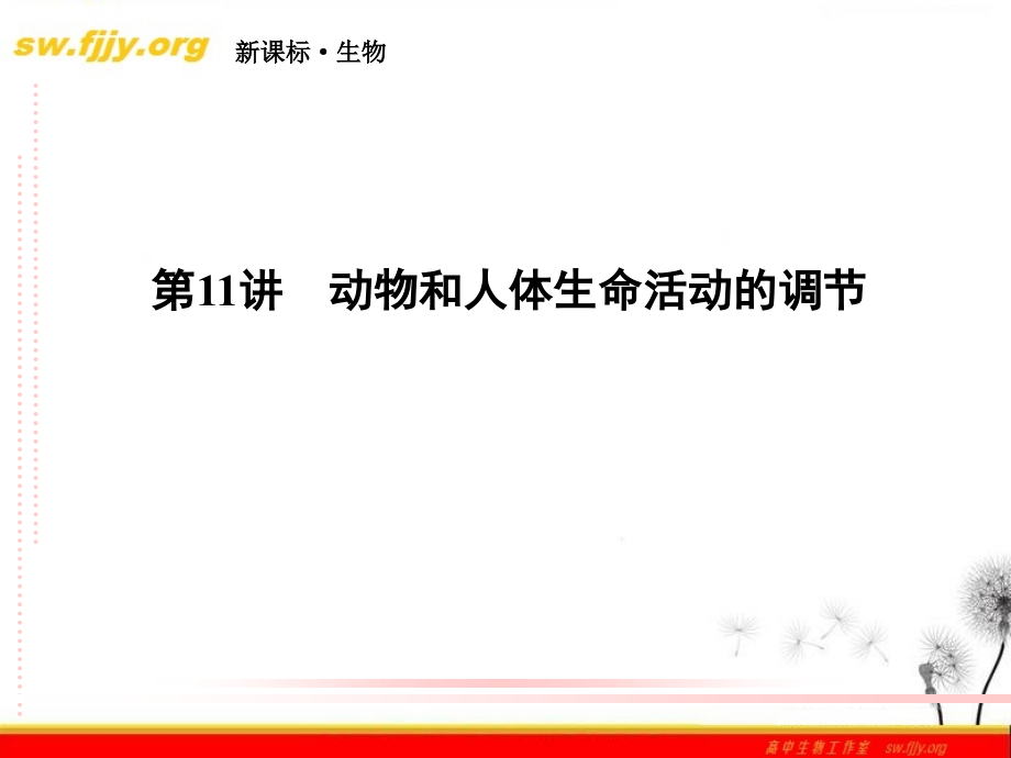 2012届高三生物二轮复习课件5-11动物和人体生命活动的调节_第2页