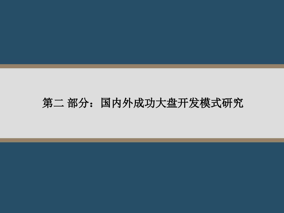 大盘发展与开发模式介绍_第3页