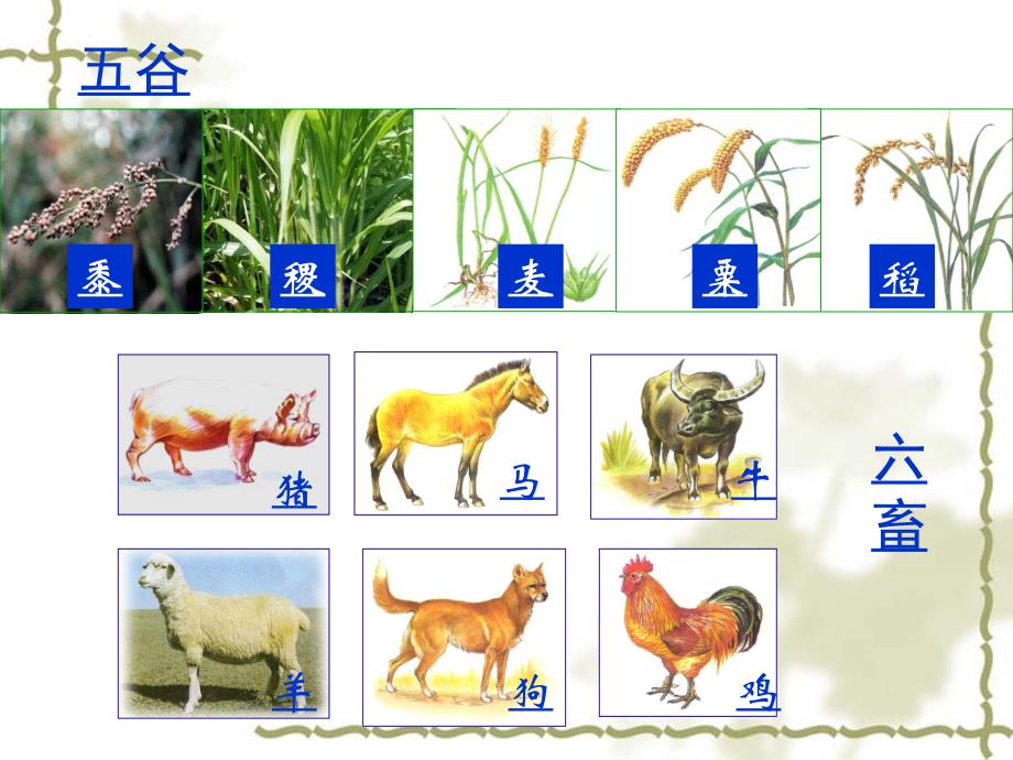 一古代中国的农业经济_第2页