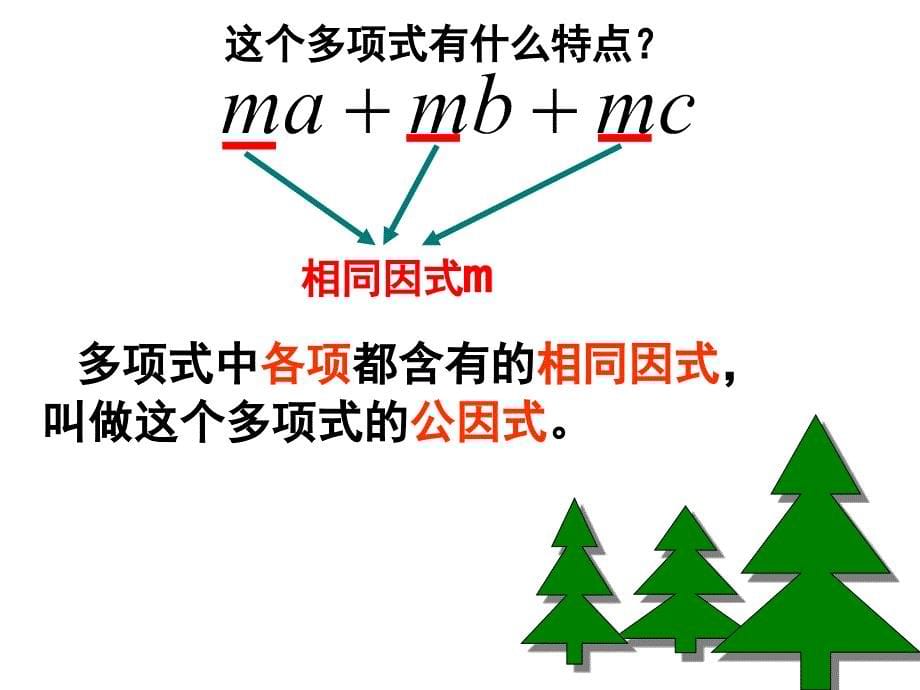 八年级数学提公因式法分解因式_第5页