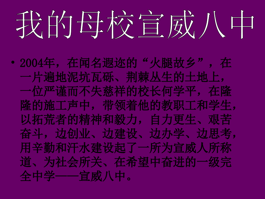 视觉与艺术——我的家乡_第3页