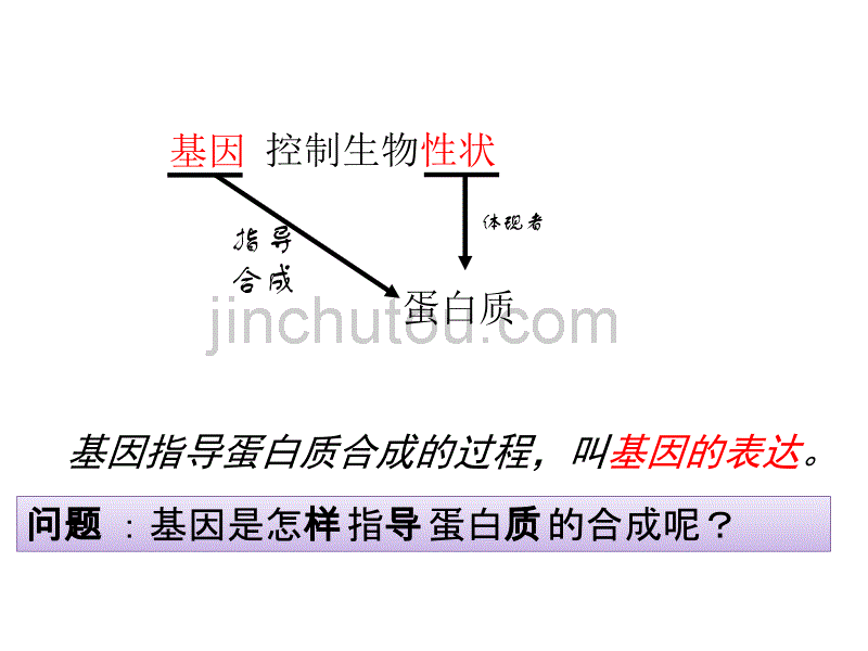 基因指导蛋白质的合成_第4页