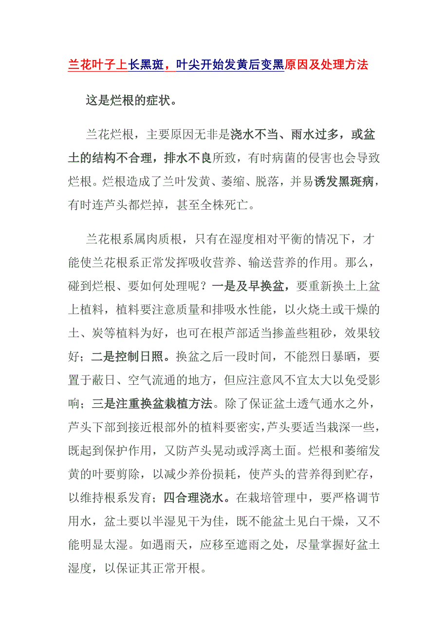 兰花叶子上长黑斑叶尖开始发黄后变黑原因及处理方法_第1页