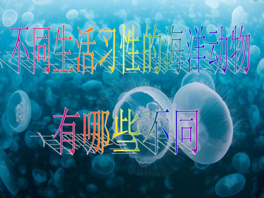 海洋动物不同海洋生物的不同生活习性_第1页