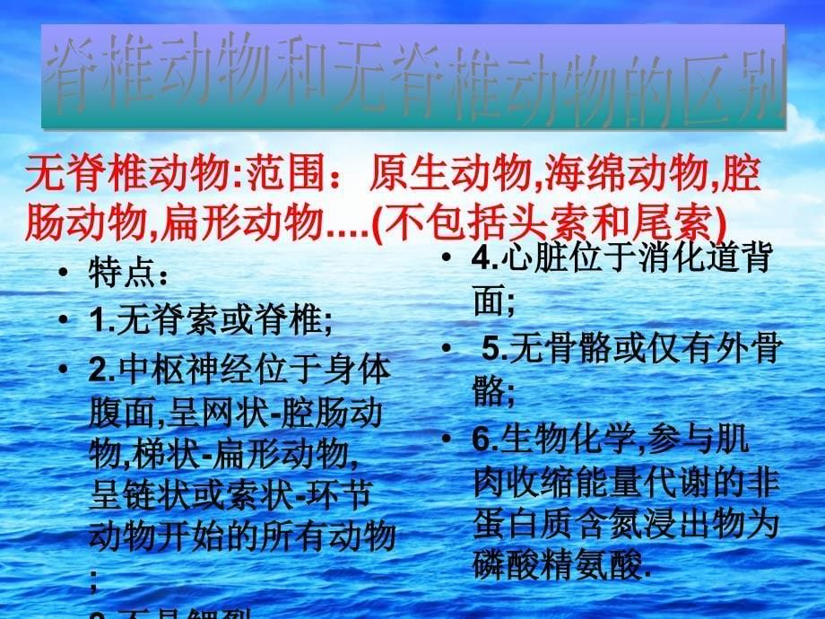 海洋动物不同海洋生物的不同生活习性_第5页