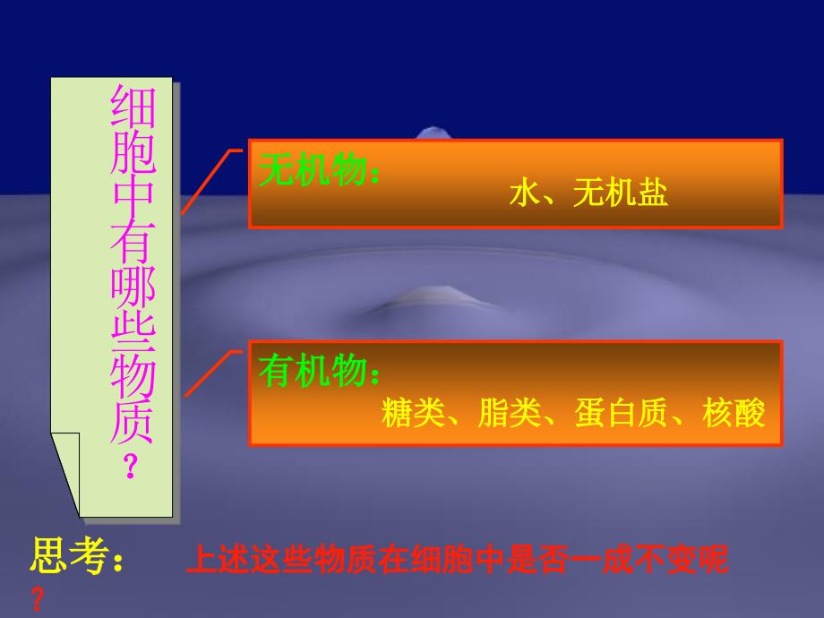 人教版生物七上《细胞的生活需要物质和能量》课件_第4页