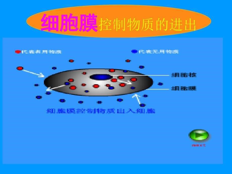 人教版生物七上《细胞的生活需要物质和能量》课件_第5页