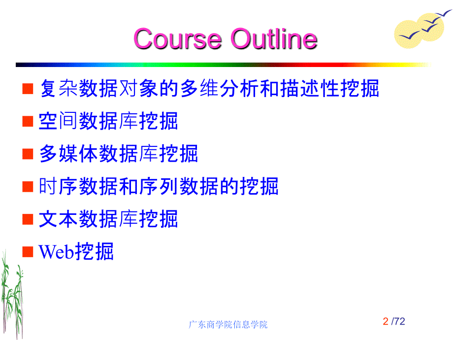 11复杂数据类型的挖掘_第2页