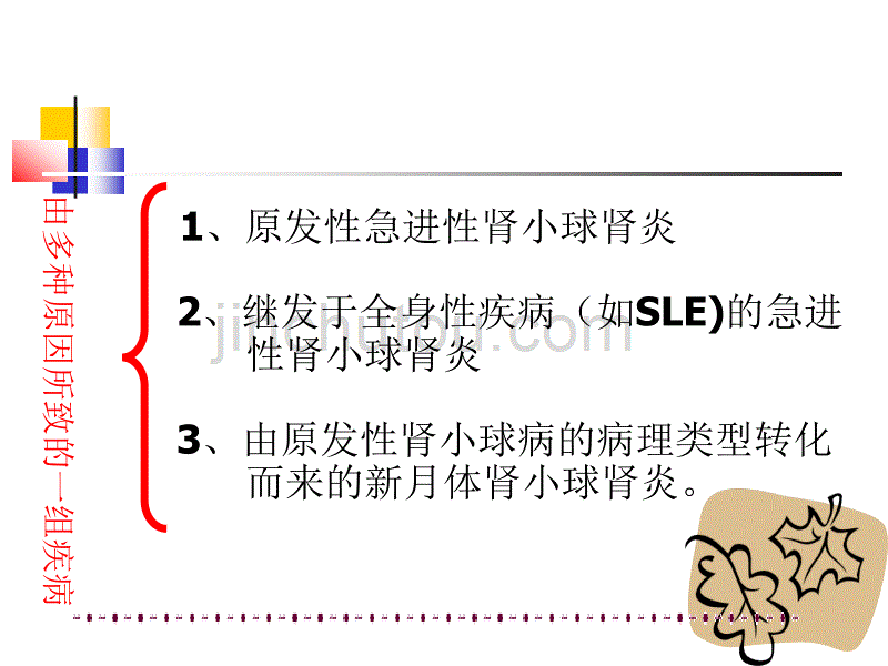 急进性肾小球肾炎_第5页