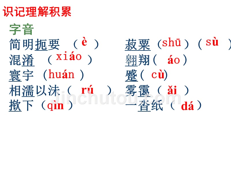 粤教版高一语文《我很重要》课件_第4页