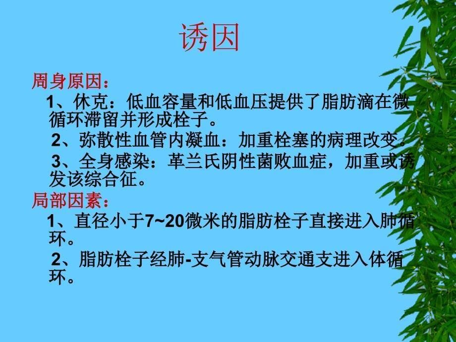 脂肪栓塞综合症的观察与护理_第5页