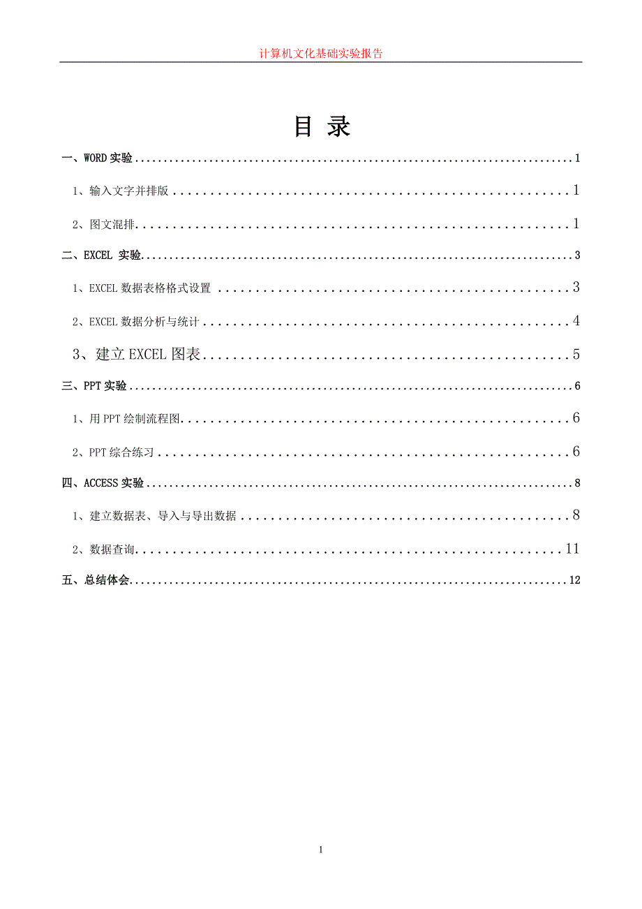 计算机文化基础实验报告_第2页