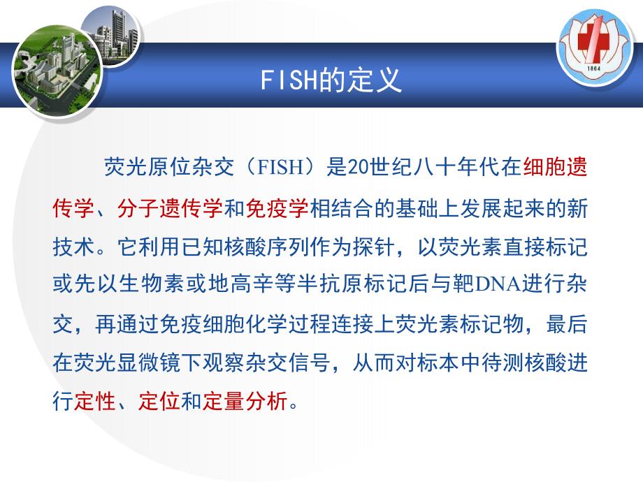 FISH技术在血液肿瘤中的应用_第2页